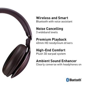 Panasonic Noise Cancelling Headphones with Wireless Bluetooth, Alexa Voice Control & Other Assistants - RP-HD605N-T - Over The Ear Headphone (Brown)