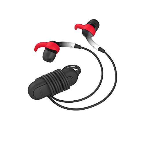 iFrogz Sound Hub Plugz Earbuds FG - Black/White