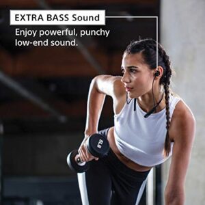 Sony WI-SP510 Extra BASS Wireless in-Ear Headset/Headphones with mic for Phone Call Sports IPX5 Bluetooth, Black (WISP510/B)