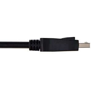 Monoprice 8K DisplayPort 2.0 Cable - 10 Feet | 80.0Gbps, 16K Resolution, Supports NVIDIA G‑Sync AMD FreeSync, Compatible for Gaming Monitor, TV, PC, Laptop and More