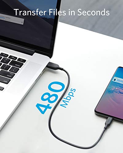 Anker USB C Cable 60W, Powerline III USB-C to USB-C Cable 2.0 (1ft), USB C Charger Cable for MacBook Pro 2020, iPad Pro 2020, Switch, Samsung Galaxy S20 Plus S9 S8 Plus, Pixel, and More （Black）