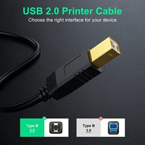 NC XQIN Printer Cable 20 ft, USB 2.0 Printer Cable Cord Type A-Male to B-Male Cable for Printer/Scanner-Gold-Plated