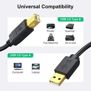 NC XQIN Printer Cable 20 ft, USB 2.0 Printer Cable Cord Type A-Male to B-Male Cable for Printer/Scanner-Gold-Plated