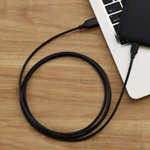 Amazon Basics Fast Charging 3A USB-C2.0 to USB-A Cable (USB-IF Certified) - 6-Foot, Black, Laptop