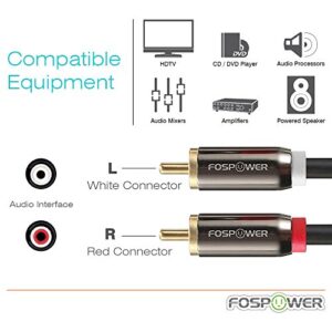 FosPower RCA Y-Adapter (6 Feet), 1 RCA Male to 2 RCA Male Y Splitter Digital Stereo Audio Cable for Subwoofer, Home Theater, Hi-Fi - Dual Shielded | 24K Gold Plated