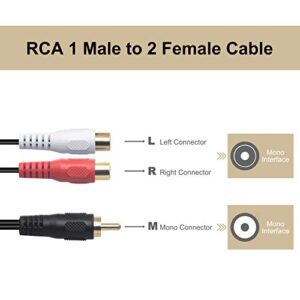 VCELINK RCA Y Splitter (8 Inch), 1 Male to 2 Female Stereo Audio Cable, Gold Plated Dual RCA Female Adapter for Subwoofer, Car Radio, Amplifier, TV, Digital Audio, 2 Pack