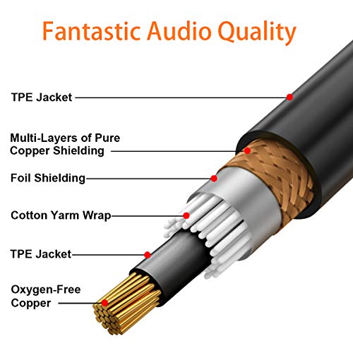 tisino RCA to 1/4 Cable, Dual RCA to Dual 1/4 inch TS Stereo Audio Interconnect Cable Patch Cords - 3.3 feet