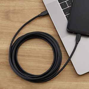 Amazon Basics Fast Charging USB-C to USB-C2.0 Cable (USB-IF Certified), 60W - 10-Foot, Black, Laptop