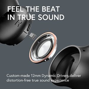 Phiaton Bonobuds True Wireless Hybrid Active Noise Cancelling Earbuds BONB-TN0610BK
