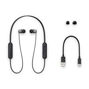 Sony Wireless in-Ear Headset/Headphones with Mic for Phone Call, Black (WI-C310/B)