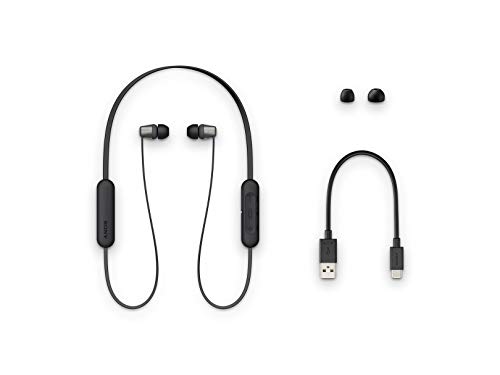 Sony Wireless in-Ear Headset/Headphones with Mic for Phone Call, Black (WI-C310/B)