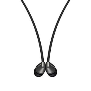 Sony Wireless in-Ear Headset/Headphones with Mic for Phone Call, Black (WI-C310/B)