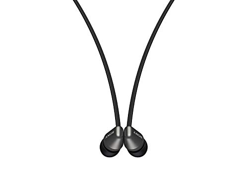 Sony Wireless in-Ear Headset/Headphones with Mic for Phone Call, Black (WI-C310/B)