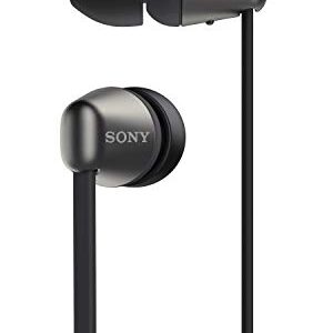 Sony Wireless in-Ear Headset/Headphones with Mic for Phone Call, Black (WI-C310/B)