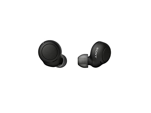 Sony WF-C500 Truly Wireless In-Ear Bluetooth Earbud Headphones with Mic - Black (Renewed)