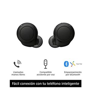 Sony WF-C500 Truly Wireless In-Ear Bluetooth Earbud Headphones with Mic - Black (Renewed)