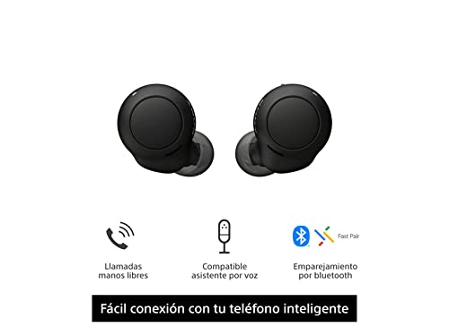 Sony WF-C500 Truly Wireless In-Ear Bluetooth Earbud Headphones with Mic - Black (Renewed)