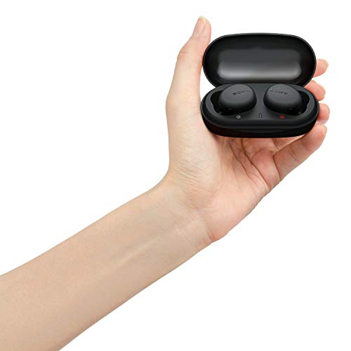 Sony WF-XB700 EXTRA BASS True Wireless Earbuds Headset/Headphones with Mic for Phone Call Bluetooth Technology, Black