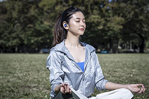 JBL REFLECT FLOW - True Wireless Earbuds, bluetooth sport headphones with microphone, Waterproof, up to 30 hours battery, charging case and quick charge (Blue)