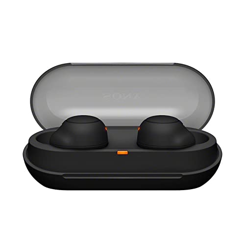 Sony WF-C500 Truly Wireless in-Ear Bluetooth Earbud Headphones (Black) Bundle with Foam and Silicone Earbud Tips (2 Items)