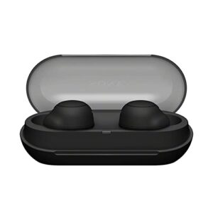 Sony WF-C500 Truly Wireless in-Ear Bluetooth Earbud Headphones (Black) Bundle with Foam and Silicone Earbud Tips (2 Items)