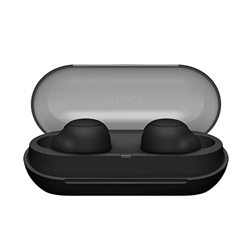 Sony WF-C500 Truly Wireless in-Ear Bluetooth Earbud Headphones (Black) Bundle with Foam and Silicone Earbud Tips (2 Items)