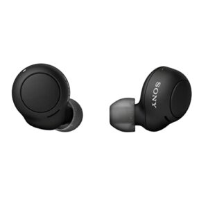 Sony WF-C500 Truly Wireless in-Ear Bluetooth Earbud Headphones (Black) Bundle with Foam and Silicone Earbud Tips (2 Items)