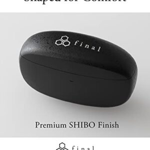 Final ZE3000 True Wireless Earbuds, Hi-Fi Sound Quality, Maximum 35 Hours Music Playback, IPX4, aptX Adaptive, Touch Sensor, Support Lossless Music Format, Designed in Japan (Black)