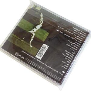 Square Deal Recordings & Supplies - CD Sleeves - RESEALABLE Premium 2mil Thick - Archival Quality, Crystal Clear - Holds 1 Standard 10.4mm CD Jewel Box (100 Sleeves)