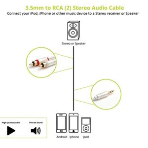 BlueRigger 3.5mm to 2-Male RCA Adapter Audio Stereo Cable (25FT, Gold Plated, Aux RCA Y Splitter Cord) – Compatible with Smartphones, MP3, Tablets, Speakers