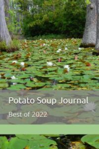 potato soup journal: best of 2022
