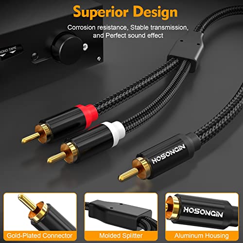 HOSONGIN RCA Y Splitter 1 Male to 2 Male Audio Cable 2 Pack, Black Cotton Braided Jacket Gold-Plated Plug Premium Shielded Audio Cable, Length 12 inch