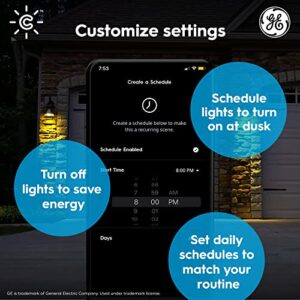 GE CYNC Smart LED Light Bulbs, Color Changing Lights, Bluetooth and Wi-Fi Lights,Compatible with Alexa and Google Home, PAR38 Outdoor Floodlight Bulbs (4 Pack)