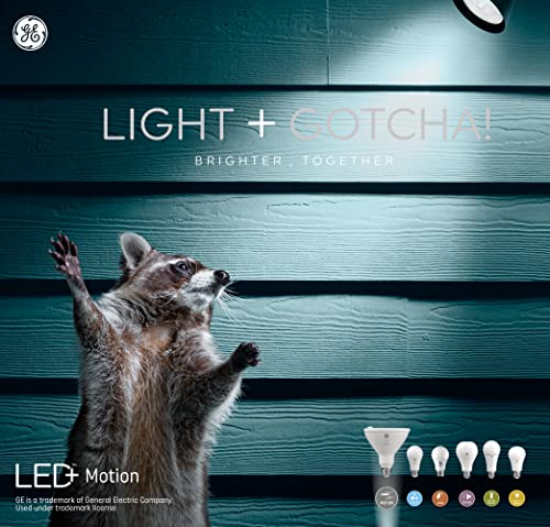 GE LED+ Motion Sensor LED Light Bulbs, Security Light, Warm White, A21 Standard Bulbs (2 Pack)