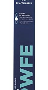 GE RPWFE Refrigerator Water Filter | Certified to Reduce Lead, Sulfur, and 50+ Other Impurities | Replace Every 6 Months for Best Results | Pack of 1