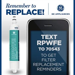 GE RPWFE Refrigerator Water Filter | Certified to Reduce Lead, Sulfur, and 50+ Other Impurities | Replace Every 6 Months for Best Results | Pack of 1