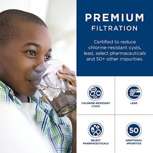 GE RPWFE Refrigerator Water Filter | Certified to Reduce Lead, Sulfur, and 50+ Other Impurities | Replace Every 6 Months for Best Results | Pack of 1