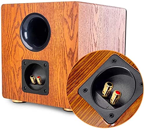 YTYKINOY 2 Pcs 3.1” Double Binding Round Gold Plate Push Spring Loaded Jacks Speaker Box Terminal Cup