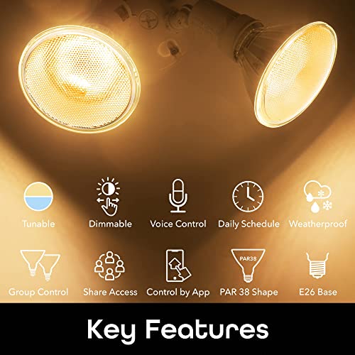 Geeni LUX Smart Floodlight, White – Outdoor 2700K-6500K Dimmable LED Bulb, E26, PAR38, 11W, 1000 Lumens – No Hub Works with Amazon Alexa, Google Assistant, Requires 2.4 GHz Wi-Fi