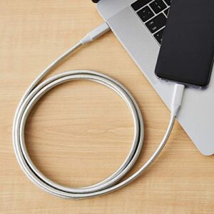 Amazon Basics Aluminum Braided 100W USB-C to USB-C 3.1 Gen 1 Cable with Power Delivery - 6-Foot, Silver