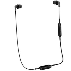 Panasonic Bluetooth Earbud Headphones with Microphone, Call/Volume Controller and Quick Charge Function - RP-HJE120B-K - in-Ear Headphones (Black)