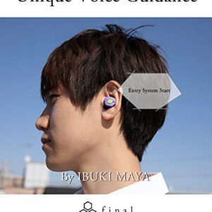 Final Audio True Wireless Earbuds Bluetooth Headphones with Charging Case. Earphones with Built-in Mic and Hands Free Touch Controls for iPhone & Android. Evangelion (Red)