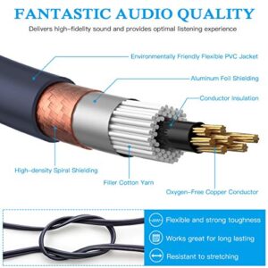 JOLGOO RCA to 1/4 Cable, Dual RCA to Dual 1/4 TS Stereo Interconnect Cable, 2 6.35mm Male TS to 2 RCA Male Stereo Audio Adapter Cable, 3.3 Feet