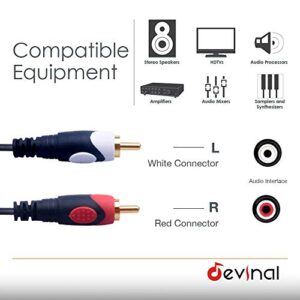 Devinal 1/4 to RCA Cable, Dual RCA to Dual 1/4 TS Interconnect Cable, Double 6.35mm Mono to 2 RCA/Phono Stereo Patch Cable Cord Adapter 20 Foot 6m