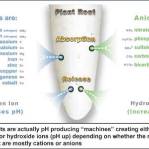 Advanced Nutrients Sensi Grow Part A+B WSP Professional Series 25lbs Set