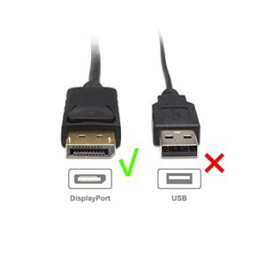 Cable Matters 2-Pack DisplayPort to DVI Cable (DP to DVI Cable) 6 Feet