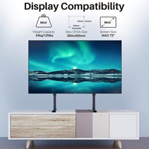 EZISE Universal TV Stand for All Brand 22"-75" TVs, Heavy Duty Table Top TV Legs/Feet with All Mount Hardware Include, fits All Brand TV Stand Base Replacement