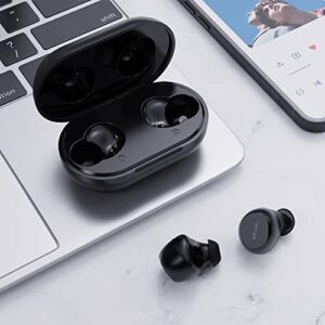 DeLUX True Wireless Earbuds, Dual Mode in-Ear Headphones with BT 5.0, Wireless Charging Case, 30 Hrs Playtime, IPX5 Waterproof, Built-in Mic, Immersive Deep Bass, Touch Control(DT3-Black)