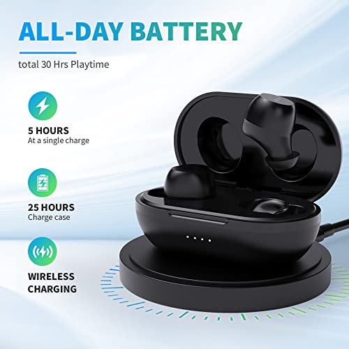 DeLUX True Wireless Earbuds, Dual Mode in-Ear Headphones with BT 5.0, Wireless Charging Case, 30 Hrs Playtime, IPX5 Waterproof, Built-in Mic, Immersive Deep Bass, Touch Control(DT3-Black)