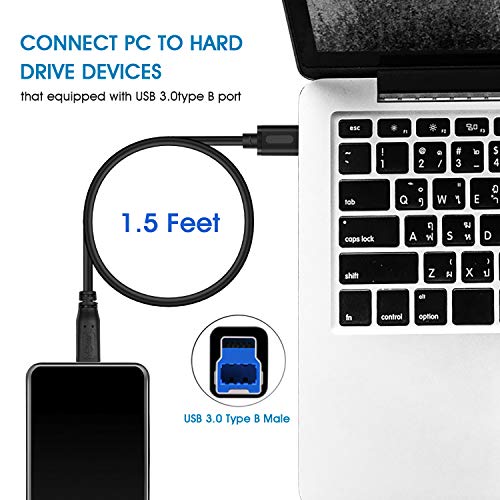 Jelly Tang USB 3.0 Cable A Male to B Male 10Ft,Superspeed USB 3.0 A-B/A Male to B Male Cable - for Scanner, Printers, Desktop External Hard Drivers and More(10Ft/3M)